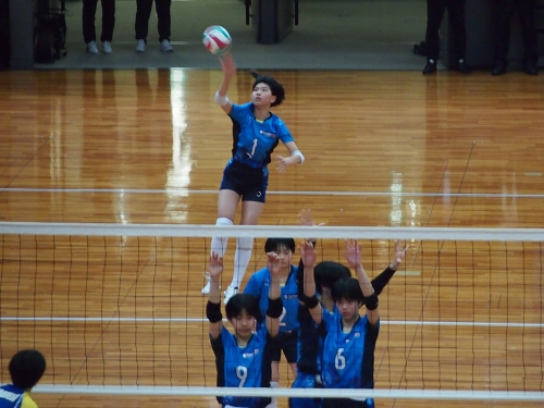 P1010637.JPG